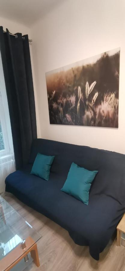 New Cosy Studio Karlovy Vary Extérieur photo